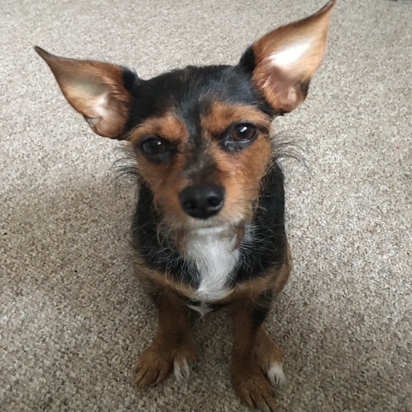 I LOVE OFFERS 🌸 - Picture 3 of 4